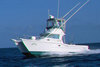Baha Cruisers 340 King Cat Flybridge Spray-Shield
