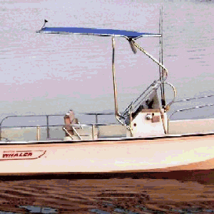 RNR-Marine&trade;, Inc. Montauk-T-Topless&trade; Image Loop