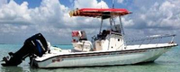 Photo of Boston Whaler Dauntless 22, 2000: Factory T-Top, viewed from Starboard Side 