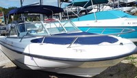 Photo of Boston Whaler Ventura 18, 2001: Bimini Top, Bow Cover, viewed from Starboard Front 