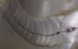 Cracked Aluminum Joint