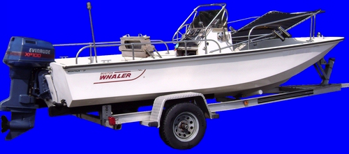 Montauk-Shadow&trade; Lowered on Boston Whaler&reg; Montauk&trade; 17 Picture