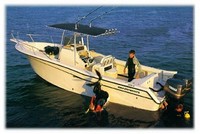 Photo of Grady White Chase 263, 1998: factory T-Top, viewed from Port Rear from Product Brochure 