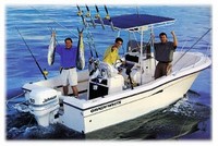 Photo of Grady White Escape 209, 1998: factory T-Top, viewed from Starboard Rear, Above from Product Brochure 
