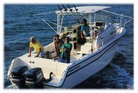 Photo of Grady White Marlin 300, 1998: Hard-Top, viewed from Starboard Rear from Product Brochure 