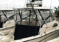 Photo of Grady White Marlin 300, 2004: Hard-Top, Side and Aft Curtains, viewed from Starboard Rear 