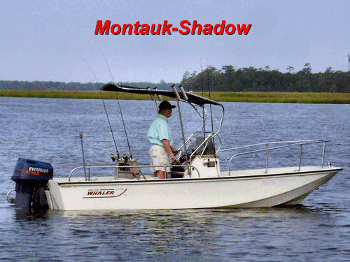 Montauk-Shadow&trade; Features Movie