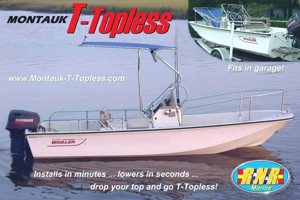 Montauk-T-Topless Folding T-Top