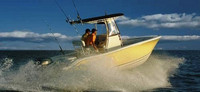 Photo of NauticStar, 2000: Offshore, 2007: Factory T-Top, Visor T-Top, Side Curtains (Factory OEM website photo) 1 