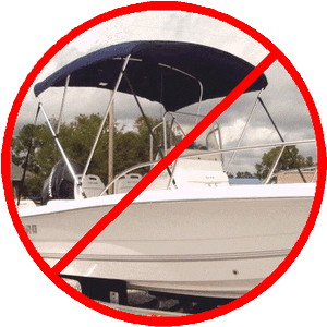 No Bimini Logo Image