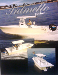 Photo of Palmetto Custom® 230 Adventure, 2003: Brochure Cover 