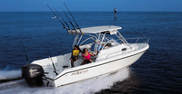 Photo of Pro Sports 2250WA, 2005: Factory Hard-Top, viewed from Starboard aft (Factory OEM website photo) 