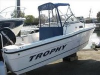 Photo of Trophy 1802 WA, 2010: Factory OEM Bimini Top, Connector, Side Curtains, Aft Curtain, viewed from Starboard Rear 