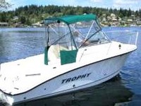 Photo of Trophy 1952 WA, 2005: Bimini Top, Front Connector, Side Curtains, Aft-Drop-Curtain, viewed from Starboard Rear 