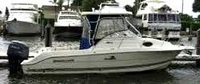 Photo of Wellcraft Coastal 250, 2003: Hard-Top, Connector, Side Curtains, Aft-Drop-Curtain, viewed from Starboard Side 