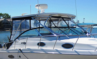 Photo of Wellcraft Coastal 290, 2003: Hard-Top, Connector, Side Curtains, Aft-Drop-Curtain, viewed from Starboard Bow 