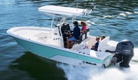 Photo of Wellcraft Fisherman 221, 2017 Factory T-Top, viewed from Port Rear, Above Wellcraft website 