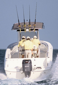 Photo of Wellcraft Fisherman 232, 2008: T-Top (Factory OEM website photo), Rear 