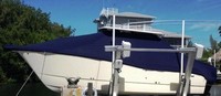 Photo of World Cat 290 DC 20xx T-Top Boat-Cover On Lift, viewed from Port Side 